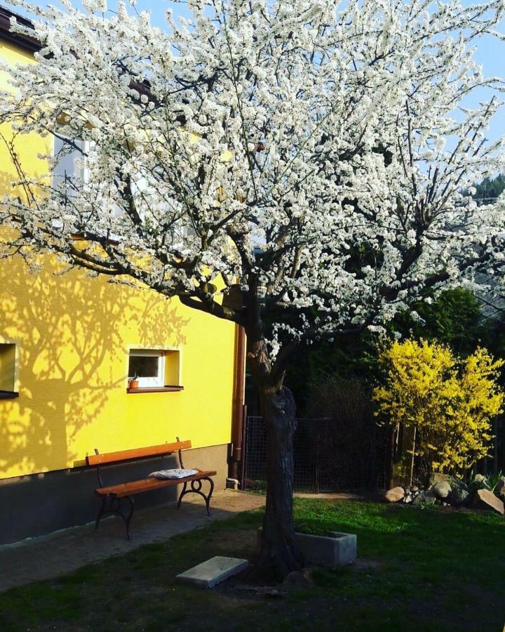 Apartman Novakovi Náchod Εξωτερικό φωτογραφία